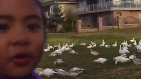 Unusual-appearing chickens - Memes For You #Shorts