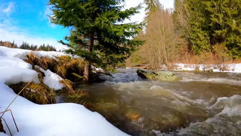 Spring Creek is beautiful nature