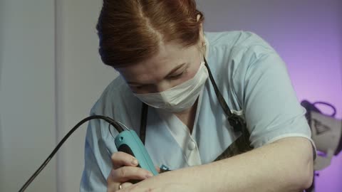 A Woman Trimming A Cat