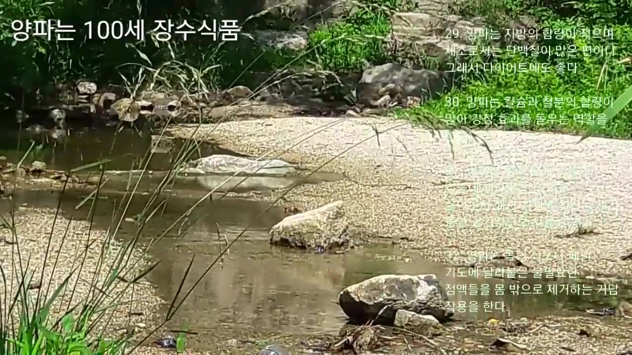 20180630_V3_S01(U4a_IK9DjMU)양파는 100세 장수 최고의 식품!!!