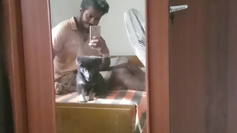 Puppy Barking at a mirror