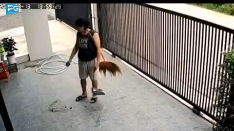 Video lucu bikin ketawa
