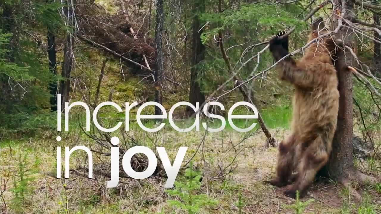 Nature Makes You Happy | BBC Earth