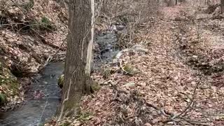 Small Stream