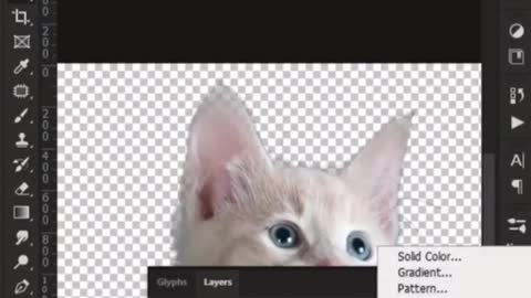 Perfect pet portrait