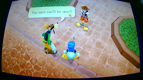 Do Something By Yourself for a Change Sora