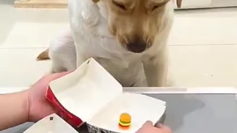 so funny video