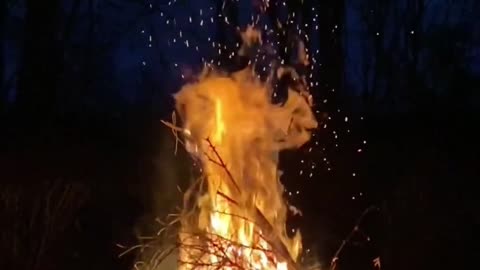 Cozy Bonfire Cracking