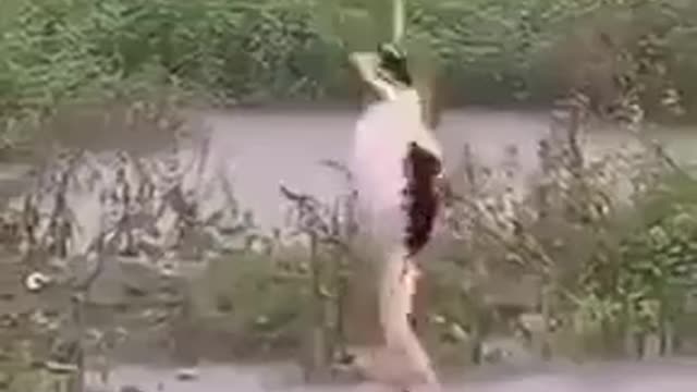 Dancing into 2022