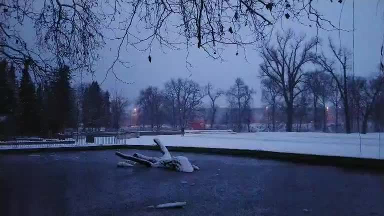 Snowy park at sunset