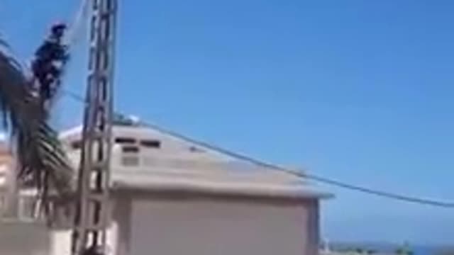 Rescatistas salvan a gatito atrapado en los cables de electricidad