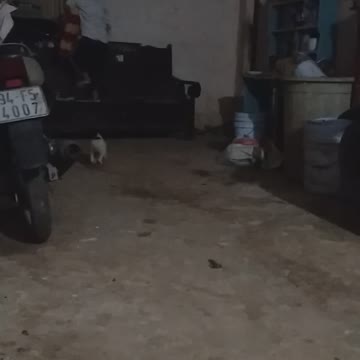 The whole family is happy for you