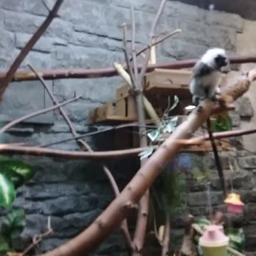 Zoo IDaho Falls 2022