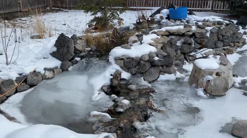 My Sugar City Pond is frozen