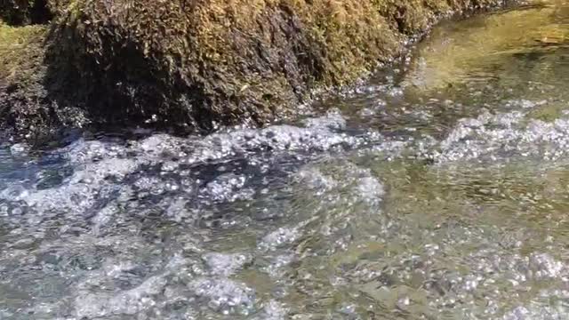 #shorts River in North Wales, cooling down on a hot summer day.