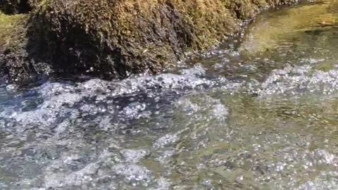 #shorts River in North Wales, cooling down on a hot summer day.