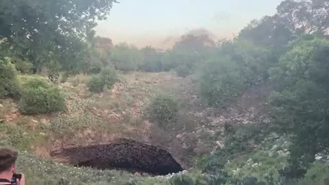 Bats emerge from Bracken Cave Preserve