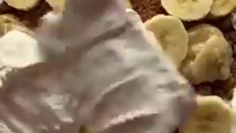 Fruit trifle