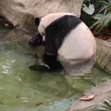 Well my mama told me there be days like this 🤣