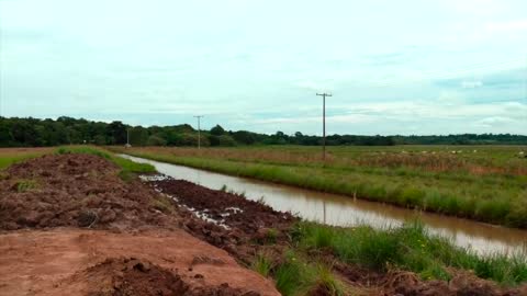 Immer weiter voran im El Paraiso Verde - Auswandern nach Paraguay