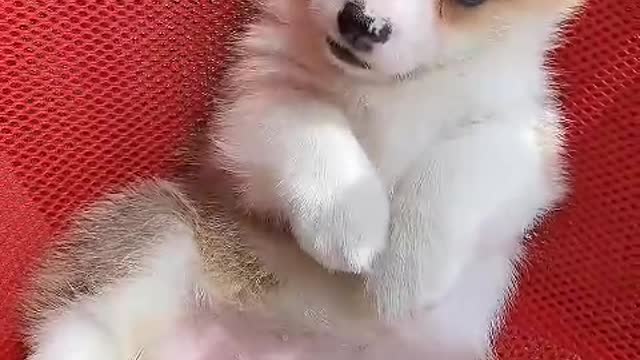 Follow me every day