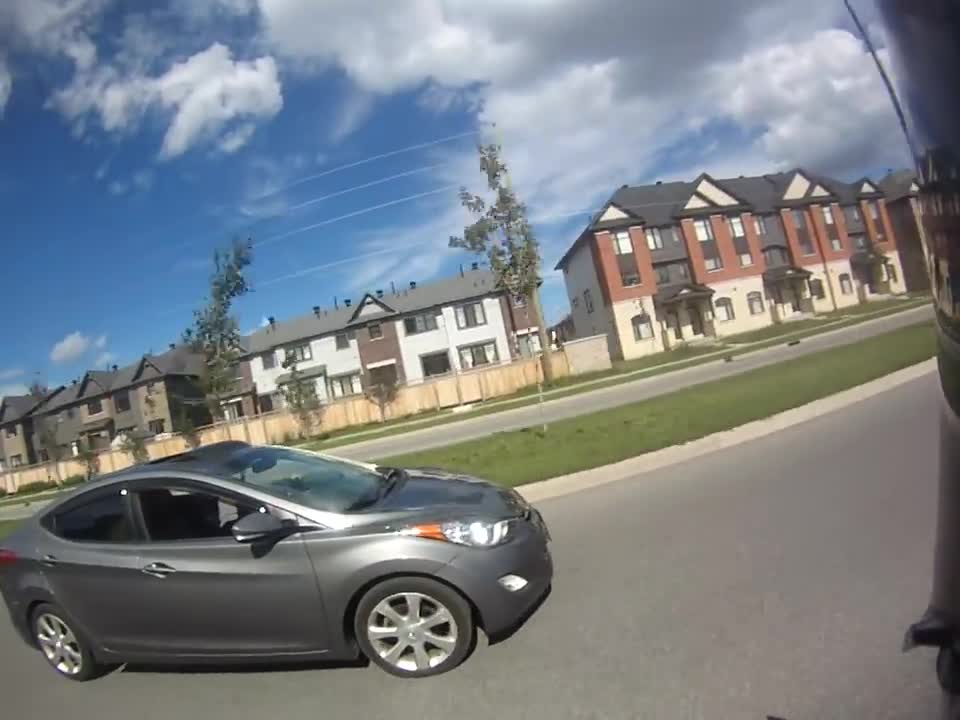Dog's Head Stuck as Driver Rolls Up Window