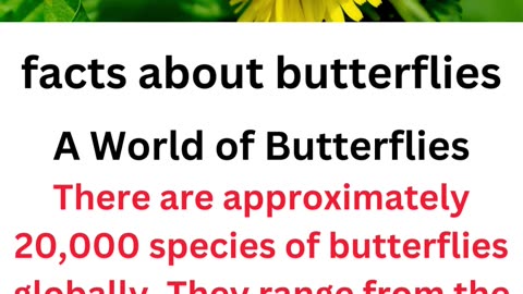 facts about butterflies..1/12