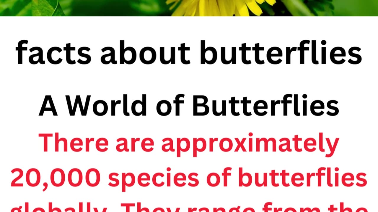 facts about butterflies..1/12