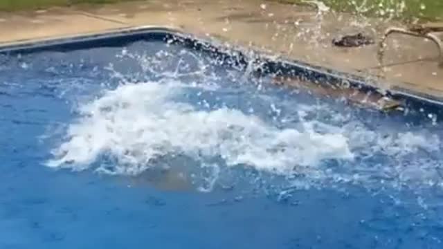 Collab copyright protection - slo mo wooden diving board snap fail