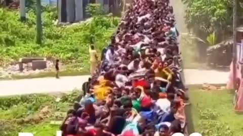 Nós indo voltar no bolsonaro