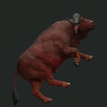 Red Vs Brown Hunter Call of the Wild