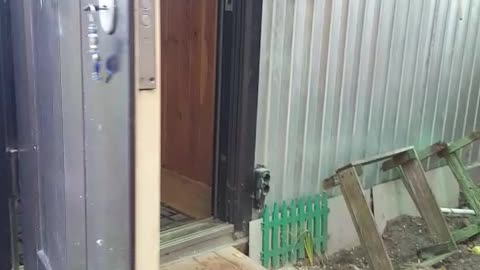 Cheeky Bear Opens Door to Let Itself Inside