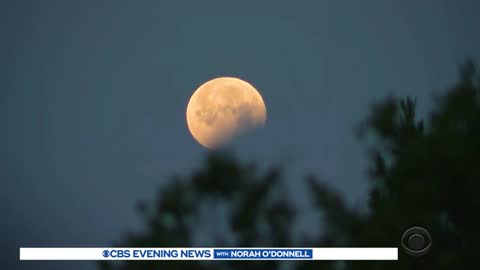 Super flower blood moon dazzles stargazers