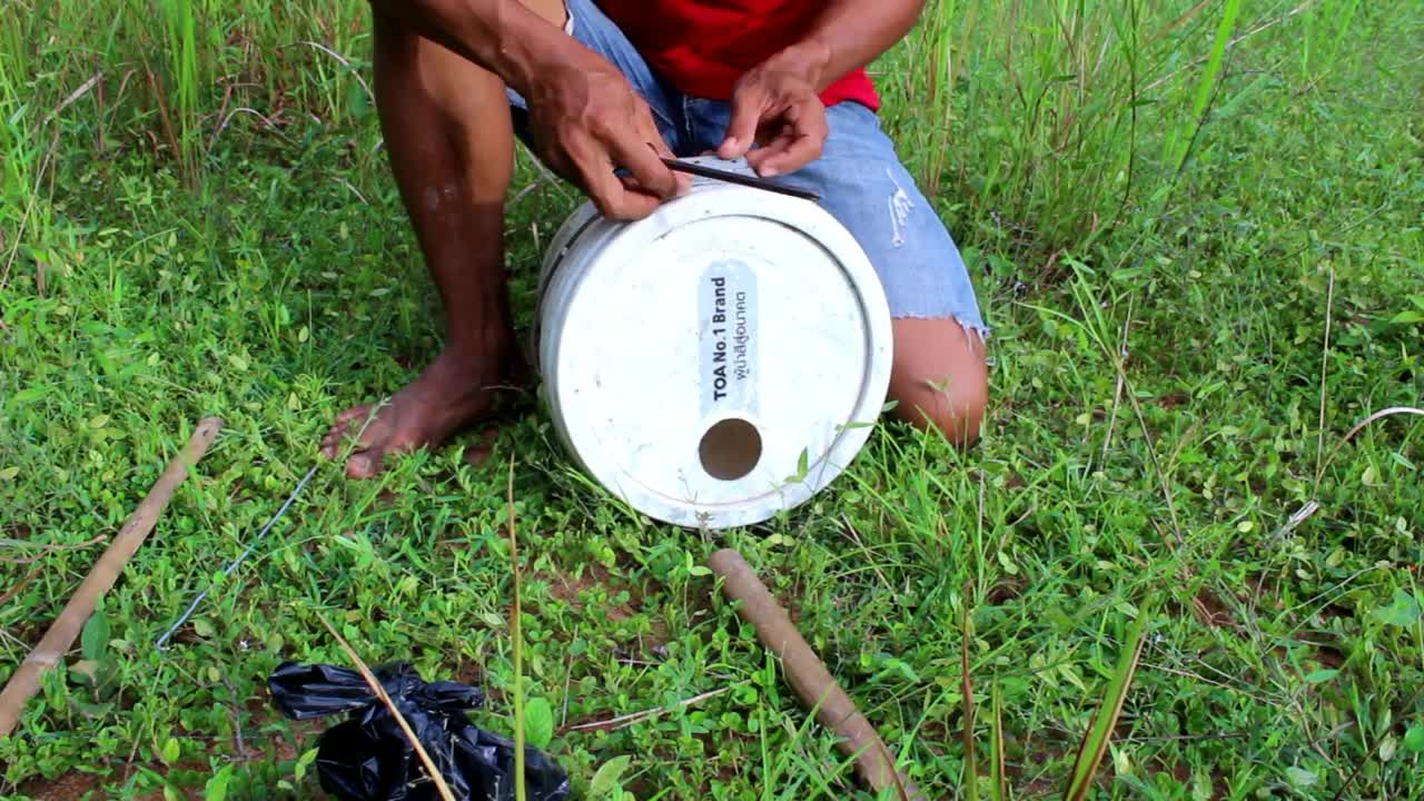 Simple Wild Cat Trap - Easy Trap Using Plastic container