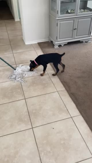 Ellie trying to help