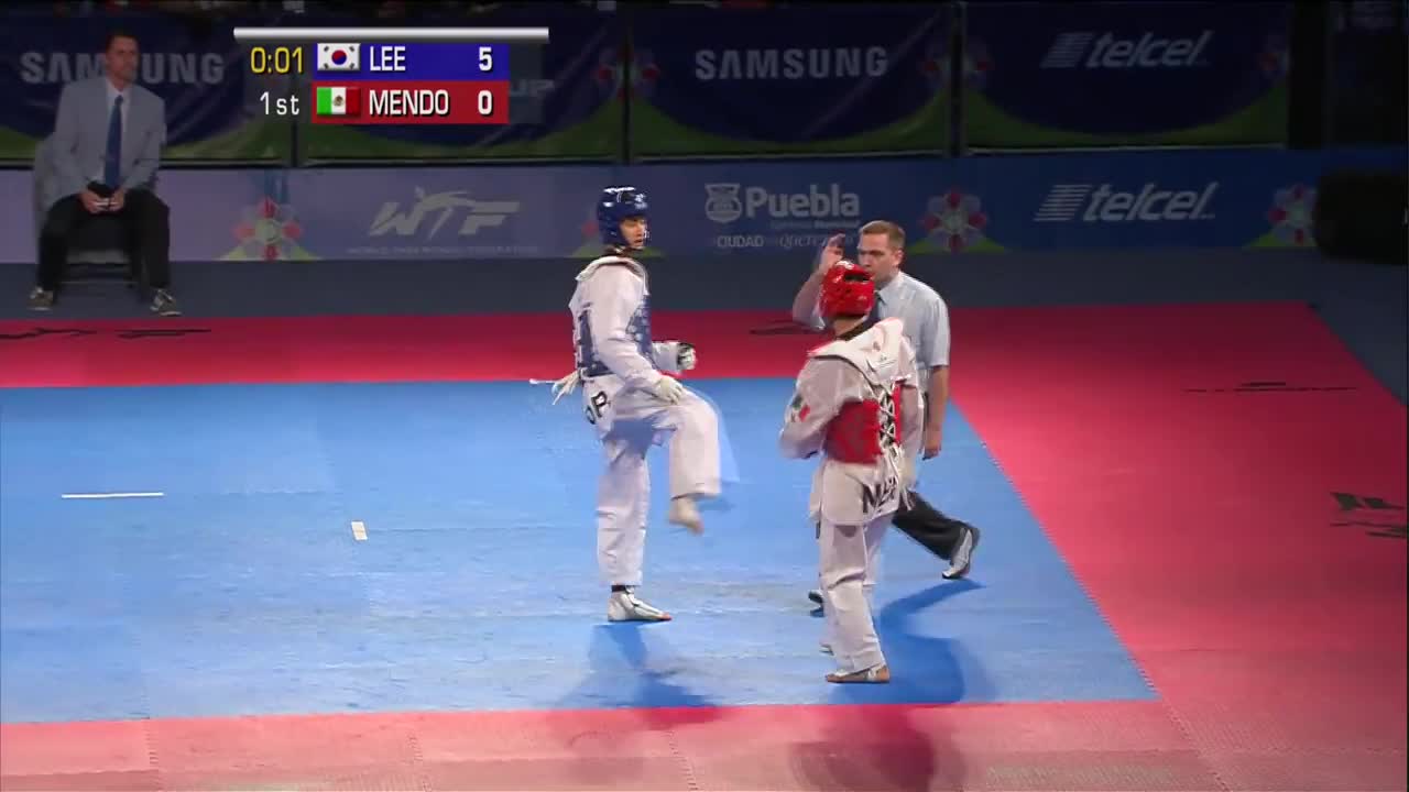 2013 WTF World Taekwondo Championships Final | Male -63kg