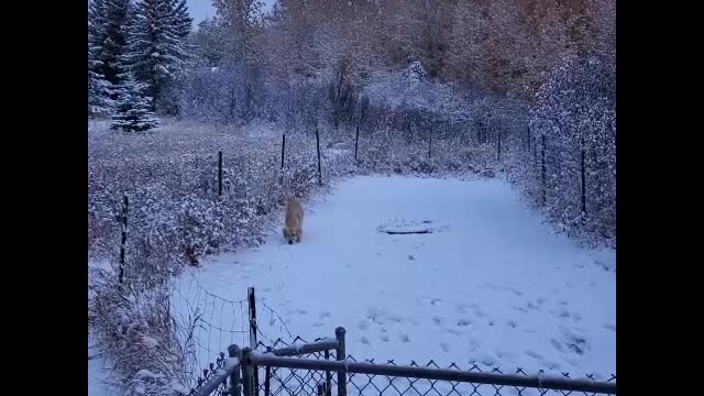 Jeannie Discovers Snow