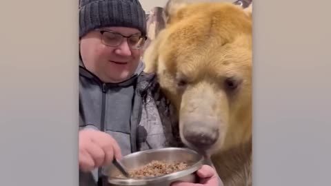 A Normal Day in Russia Caught On Camera