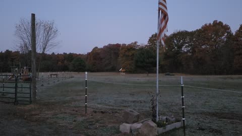 Pledge 10-21-22