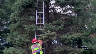 Scared Kitten Rescued by Hero Firefighters