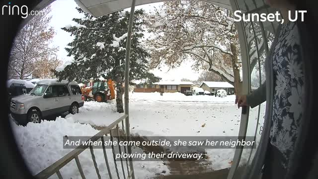 Little Girl Crosses Paths With A Bobcat Dad Forgets Dog Outside