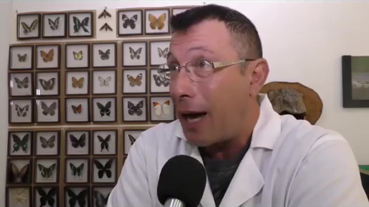 Il 5G e le blatte ... che smettono di mangiare e di riprodursi