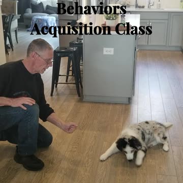 Baxter shaping the Lure