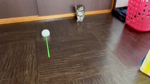 Ping is too big