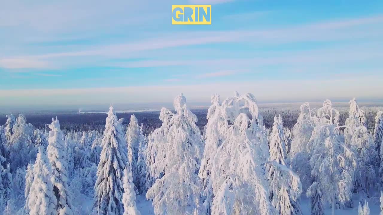 ⬜GRIN - Пэгытти...❄️