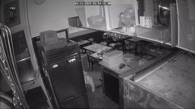 Security Camera Catches Suspicious Sneaking