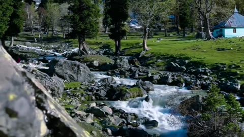 Beautiful nature