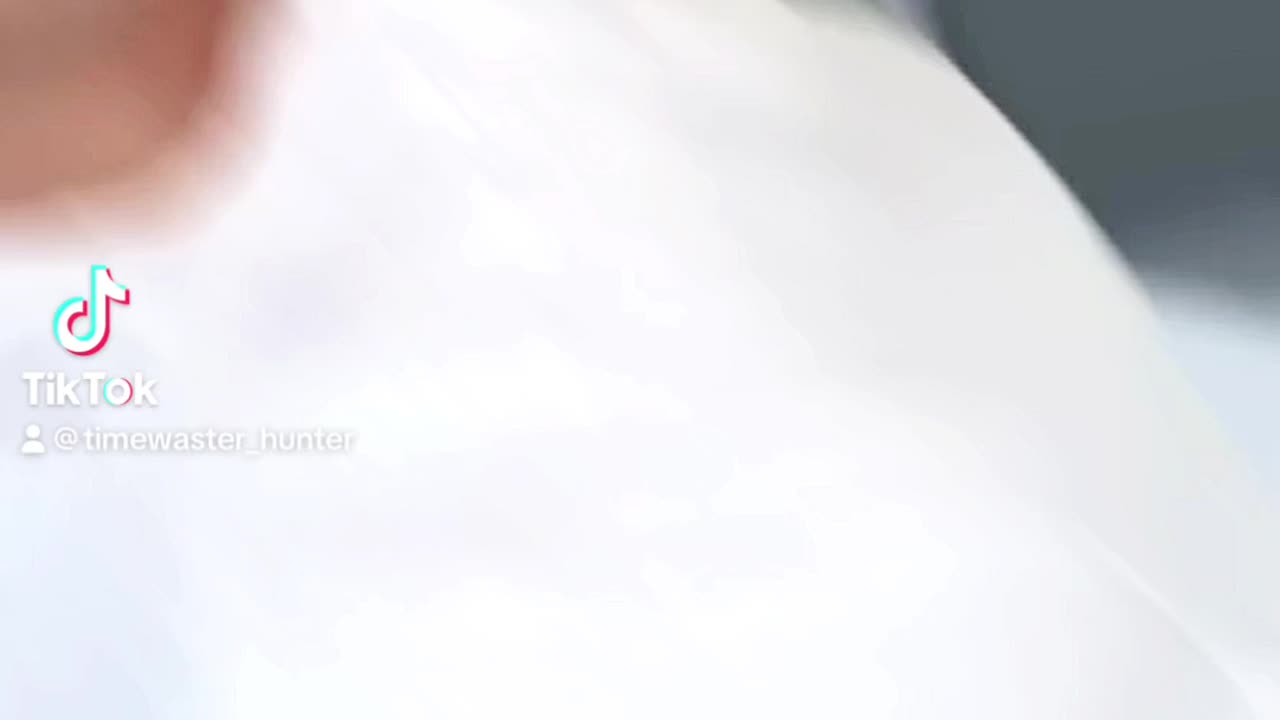 The Video They Don’t Want U To See