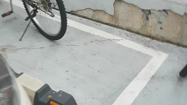 Street cat who is first met follow me