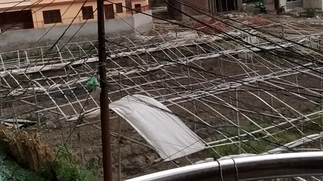 Thunderstorms hailstones